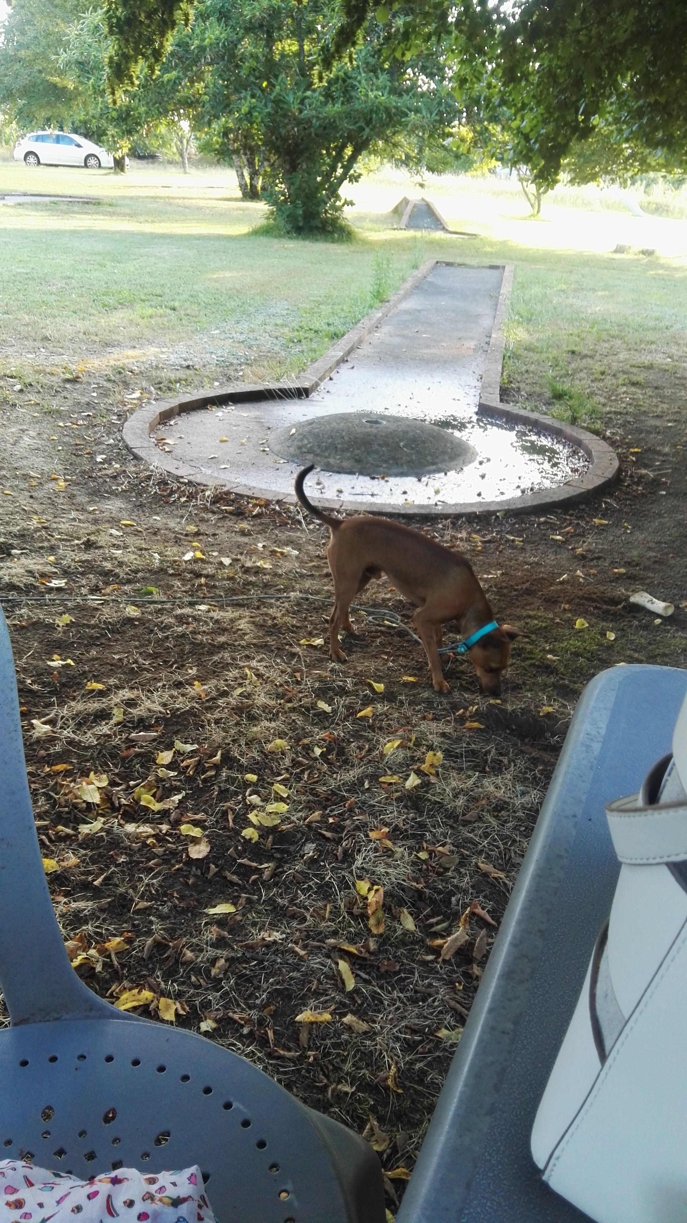 Photo n° 2 de l'avis de Cath.o fait le 20/08/2019 à 11:25