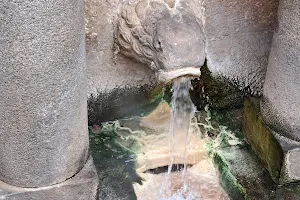 Lion's fountain image