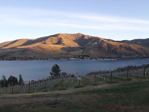 Winery «Vin Du Lac Winery», reviews and photos, 105 WA-150, Chelan, WA 98816, USA