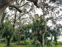 Warren Willis United Methodist Camp and Conference Center - Photo 5 - Car repair in Fruitland Park, FL, Leesburg