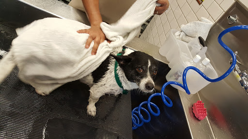 Pet Supply Store «Unleashed by Petco», reviews and photos, 432 Westlake Center, Daly City, CA 94015, USA