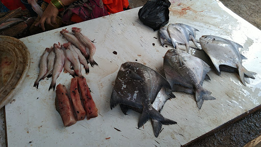 Babhai Fish Market