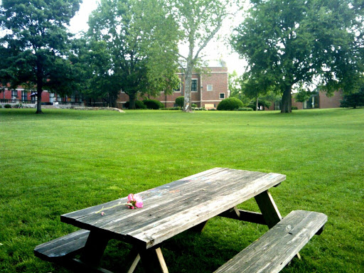 College «Kansas City Art Institute», reviews and photos