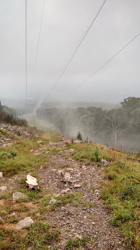 Nature Preserve «Boyd Big Tree Preserve Conservation Area», reviews and photos, Fishing Creek Valley Rd, Harrisburg, PA 17112, USA