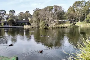 Hunter Wetlands Centre Australia image