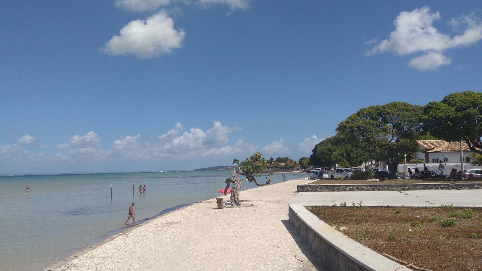 Praia do Forte photo #7