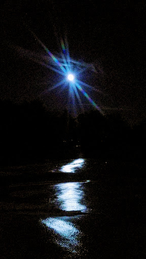 Golf Club «York Golf & Tennis Club», reviews and photos, 62 Organug Rd, York, ME 03909, USA