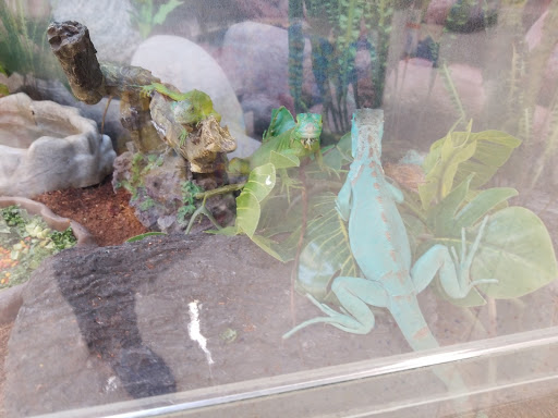 Pet Supply Store «Petco Animal Supplies», reviews and photos, 2140 E Blvd St, Kokomo, IN 46902, USA