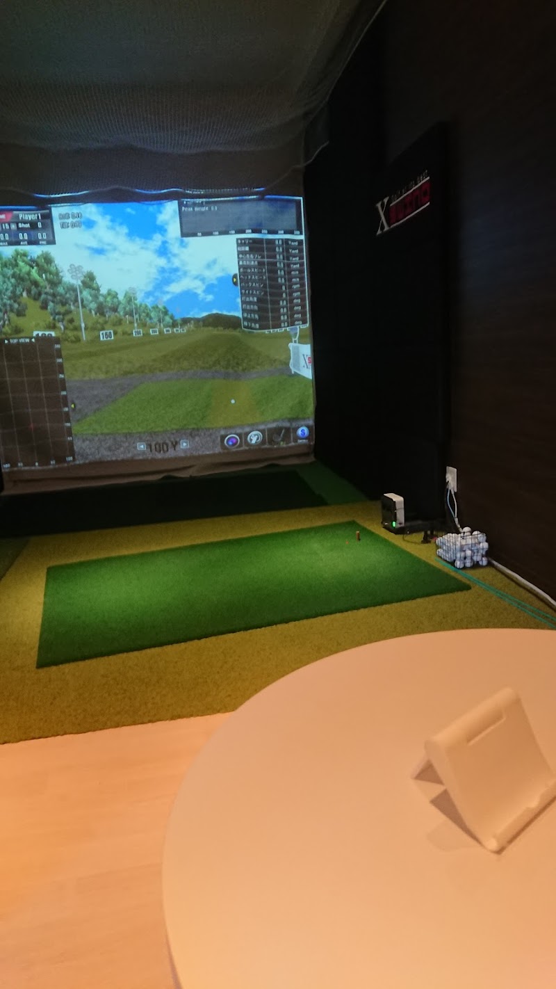 Indoor Golf Studio Golfine