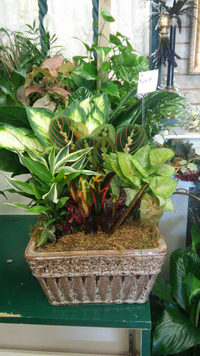 Florist «Buds N Bows», reviews and photos, 3424 Camp Robinson Rd, North Little Rock, AR 72118, USA