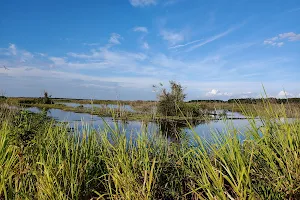 Emeralda Marsh Conservation Area image