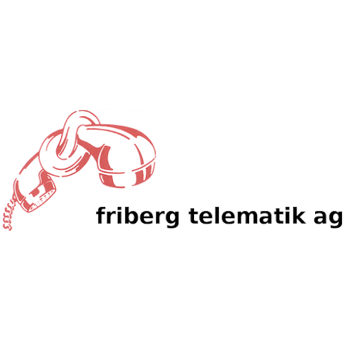 Rezensionen über friberg telematik ag in Zürich - Computergeschäft
