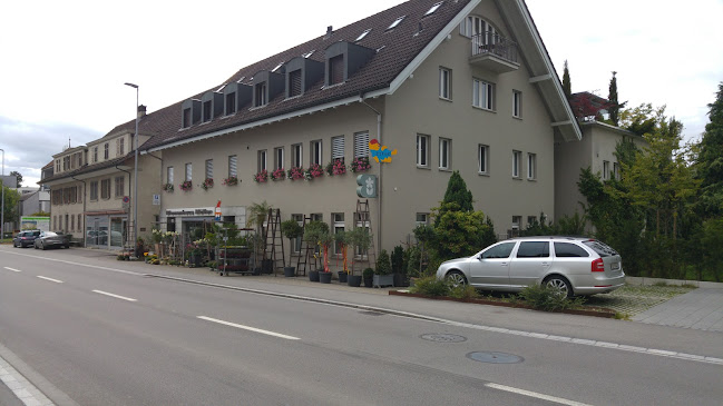 Hauptstrasse 53, 6260 Reiden, Schweiz