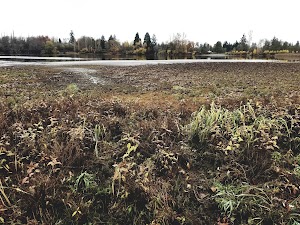 Nelson Nature Park - photo 6