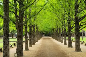 Nami Island image