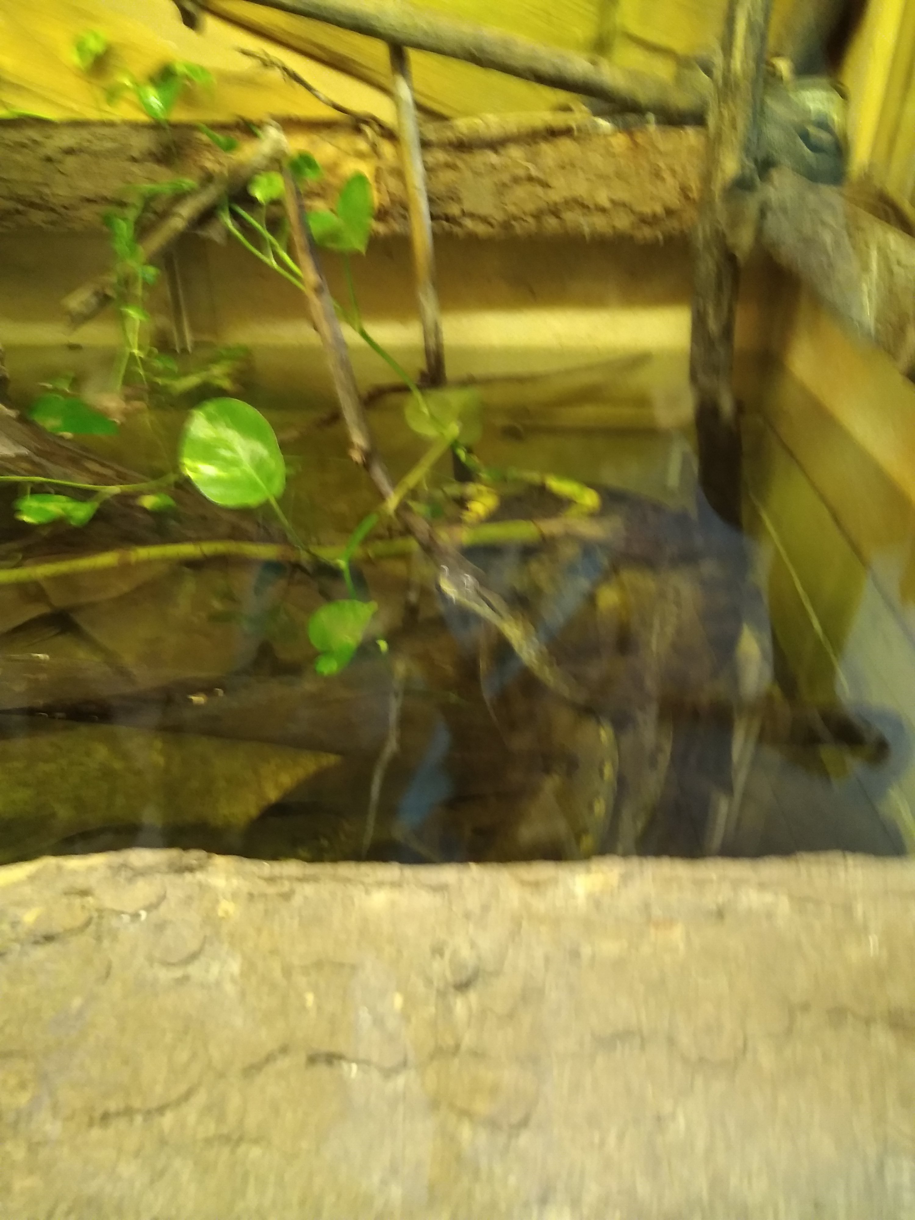 Photo n° 30 de l'avis de Antony.b fait le 16/08/2020 à 13:39