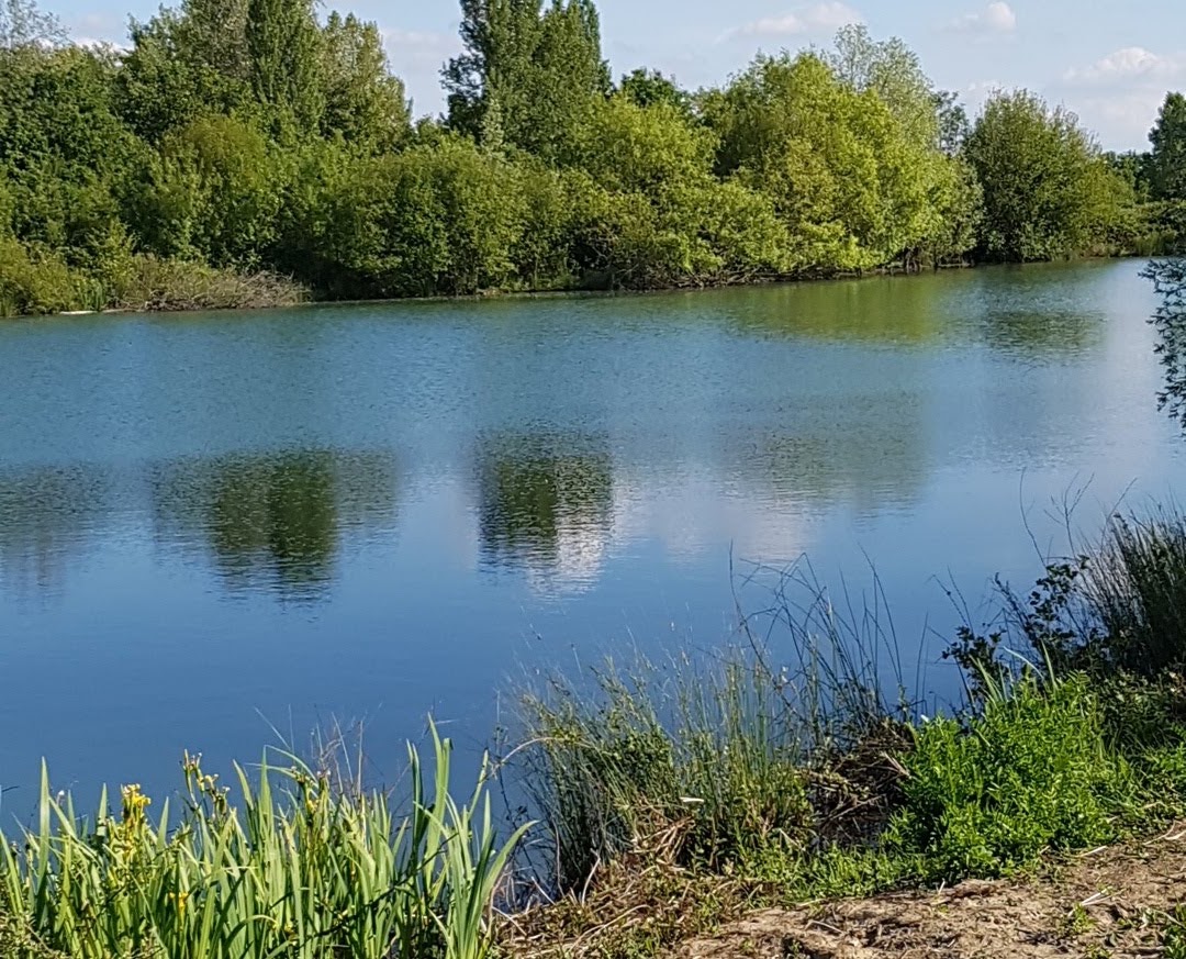 Photo n° 5 de l'avis de Cedric.o fait le 01/06/2019 à 16:01
