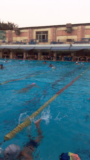 Maadi Club New Olympic Swimming Pool