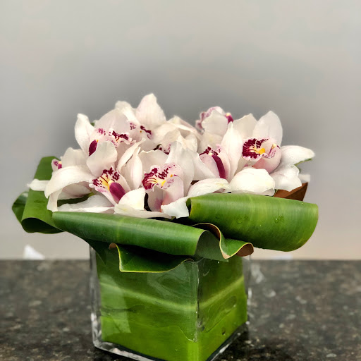 Florist «Quinn Florist», reviews and photos, 3524 Broadway, Astoria, NY 11103, USA