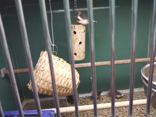 Pet Supply Store «Pet Club Santa Rosa», reviews and photos, 1935 Santa Rosa Ave, Santa Rosa, CA 95407, USA