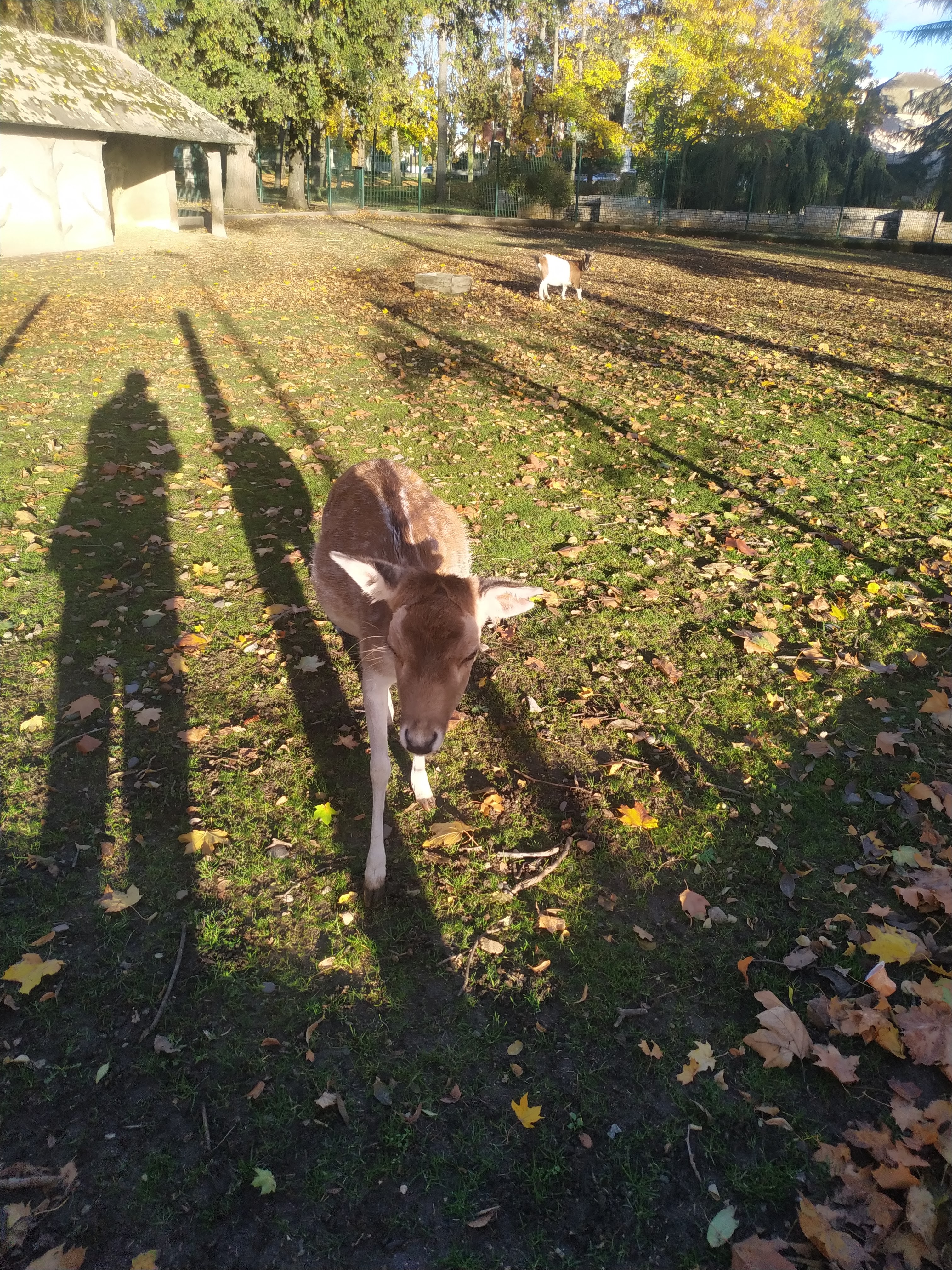 Photo n° 6 de l'avis de Christophe.u fait le 01/11/2021 à 16:23