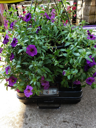 Home Improvement Store «The Home Depot», reviews and photos, 6562 Winford Ave, Hamilton, OH 45011, USA