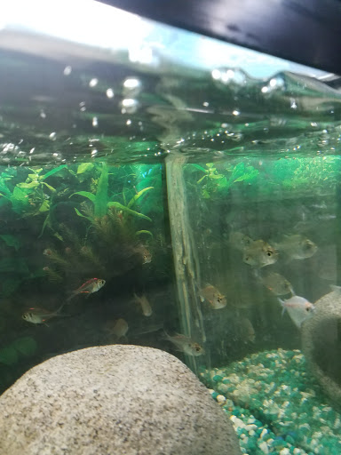 Pet Supply Store «Classic Pet Supply II», reviews and photos, 3180 Gratiot Blvd, Marysville, MI 48040, USA