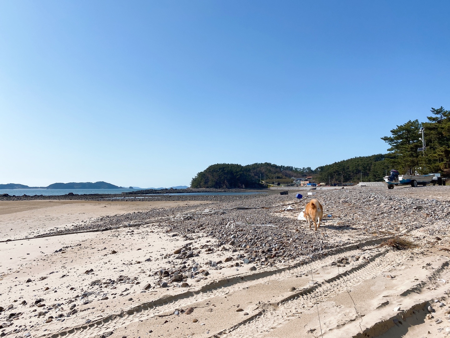 Foto av Gomseom Beach med en rymlig kustlinje