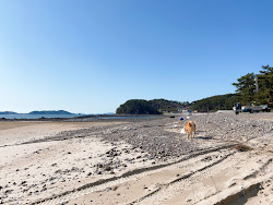 Foto av Gomseom Beach med en rymlig kustlinje