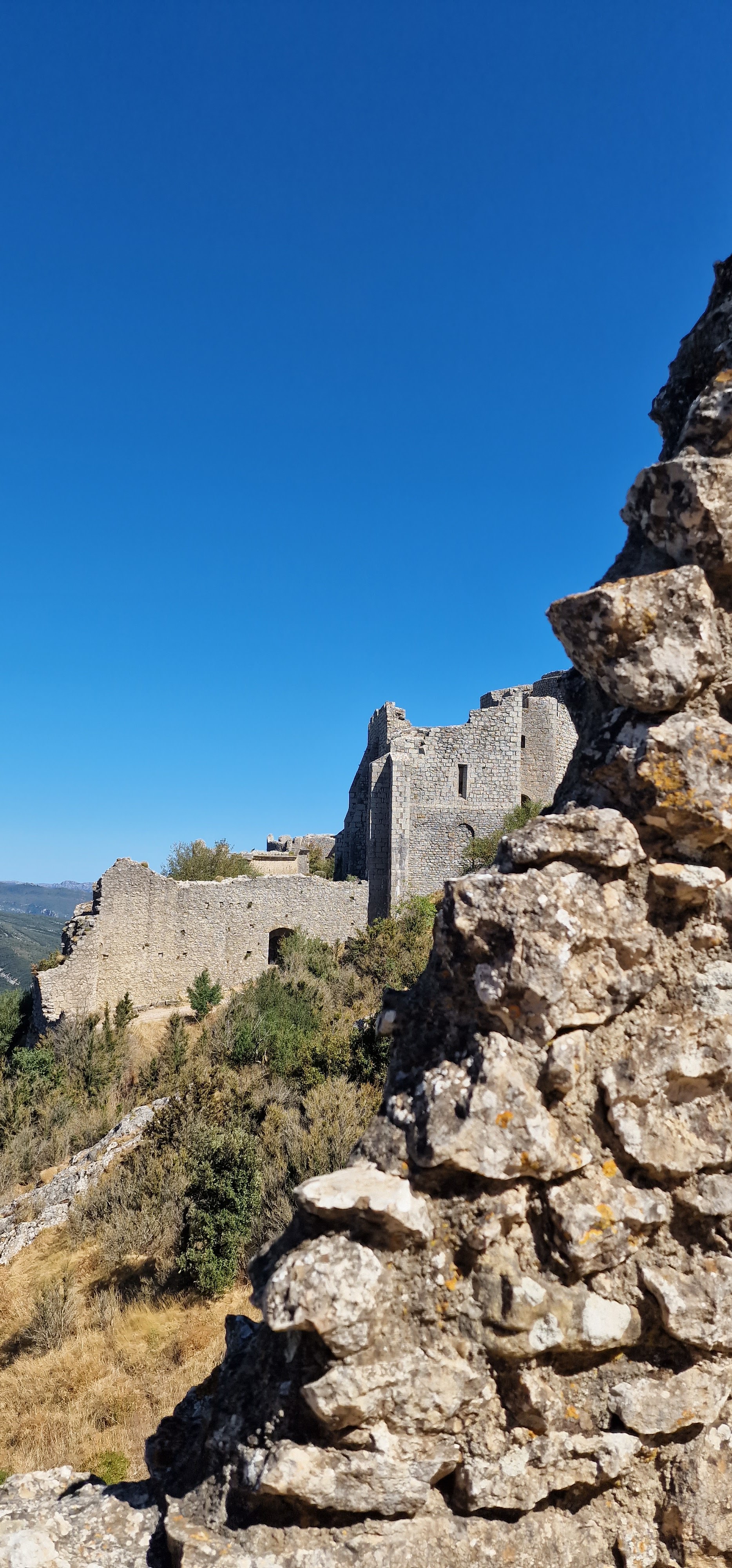 Photo n° 14 de l'avis de Enzo.N fait le 21/08/2022 à 19:53