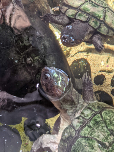 Pet Supply Store «Creative Pet Supply», reviews and photos, 305 N Harbor Blvd, San Pedro, CA 90731, USA