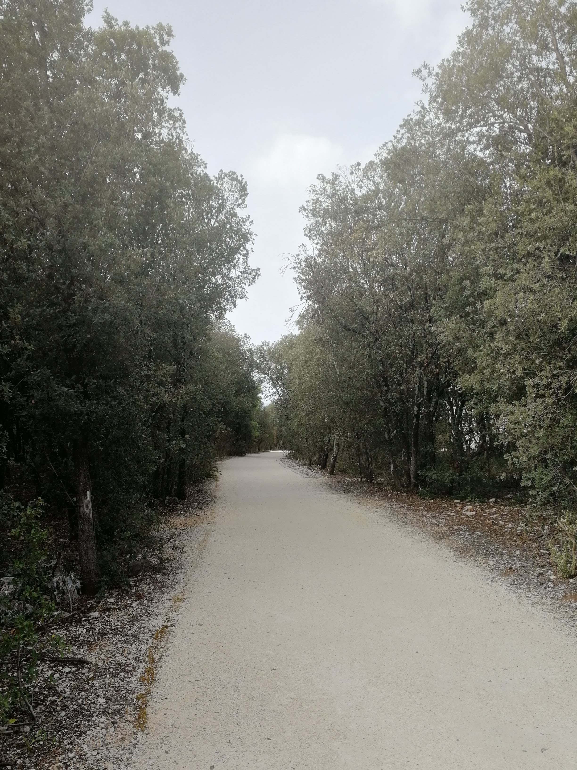 Photo n° 6 de l'avis de Alienor.D fait le 26/04/2019 à 21:03