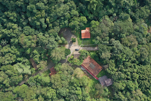 Headquarters State Park Serra do Mar - Core Itutinga Drumsticks image