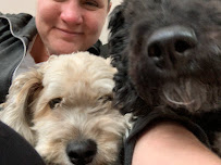 Wet Nose Warm Heart Pet Sitting, LLC - Photo 6 - Car repair in Charleston, SC, Charleston