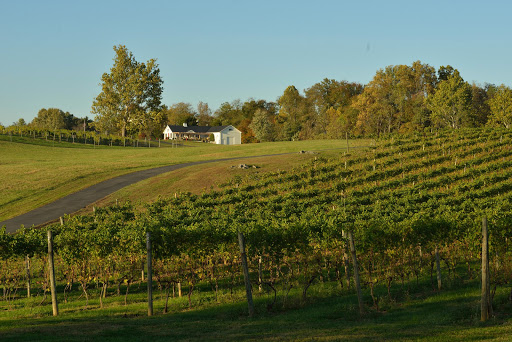 Winery «Greenhill Winery & Vineyards», reviews and photos, 23595 Winery Ln, Middleburg, VA 20117, USA