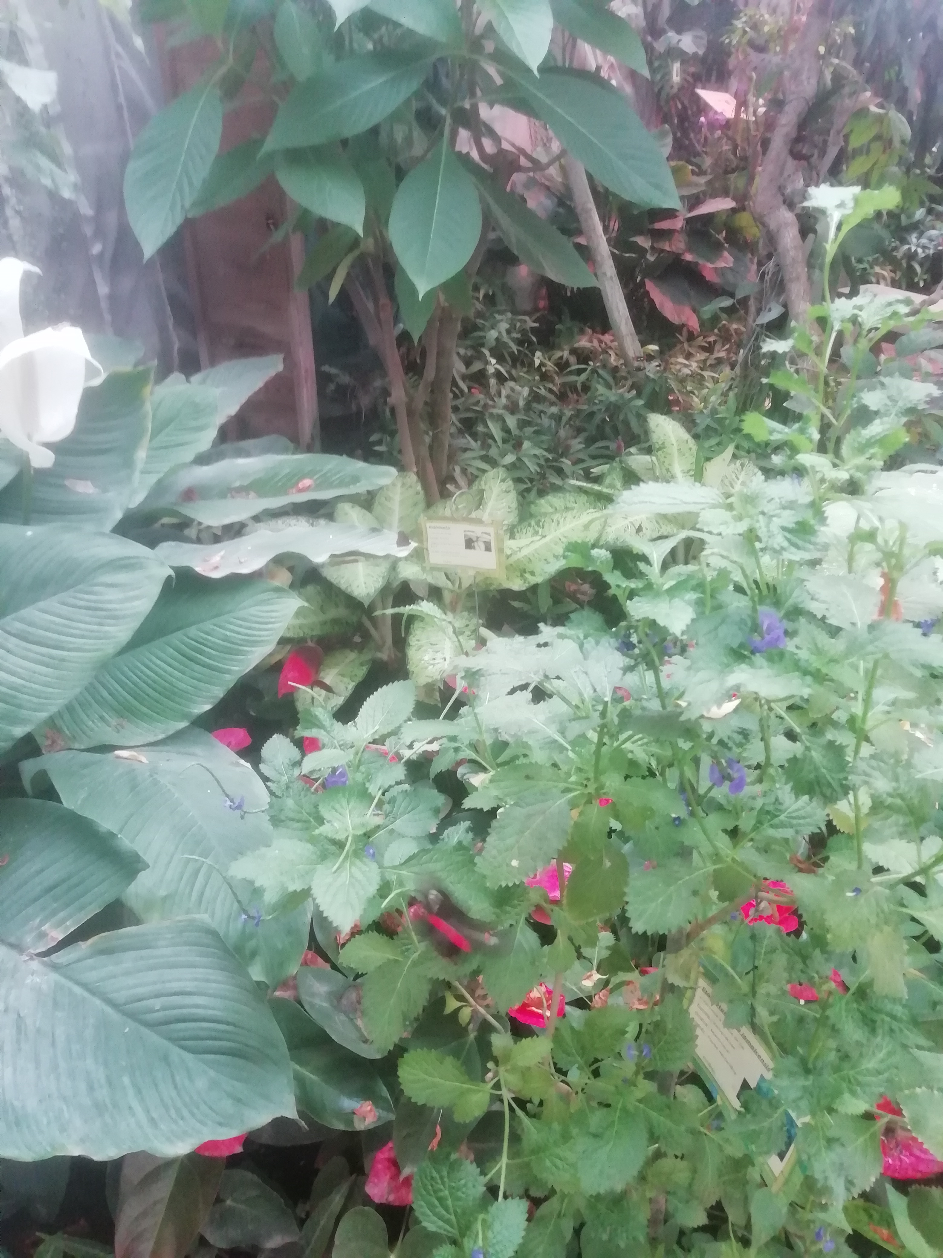 Photo n° 3 de l'avis de Stephanie.e fait le 02/05/2019 à 13:23