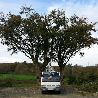 Rochard service d élagage à Courlay