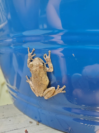 Bowling Alley «Stars and Strikes Family Entertainment Center», reviews and photos, 1700 Winder Hwy NE #100, Dacula, GA 30019, USA