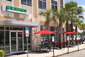 New Harvest Cafe & Grill image