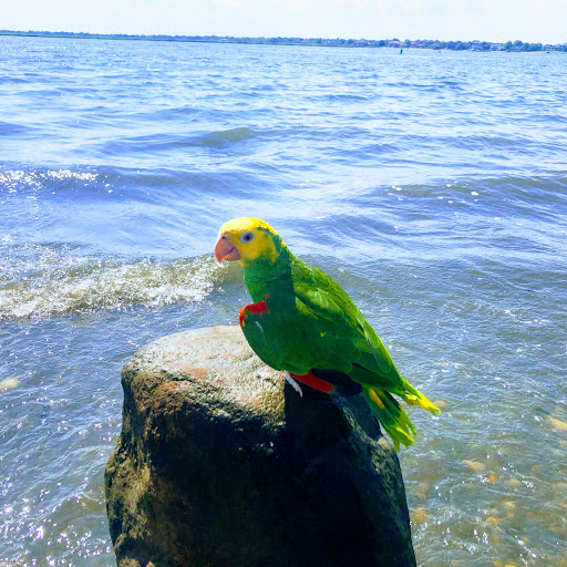 Golf Course «Bay Park Golf Course», reviews and photos, 1 1st Ave, East Rockaway, NY 11518, USA