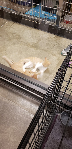 Pet Supply Store «PetSmart», reviews and photos, 934 W Street Rd, Warminster, PA 18974, USA