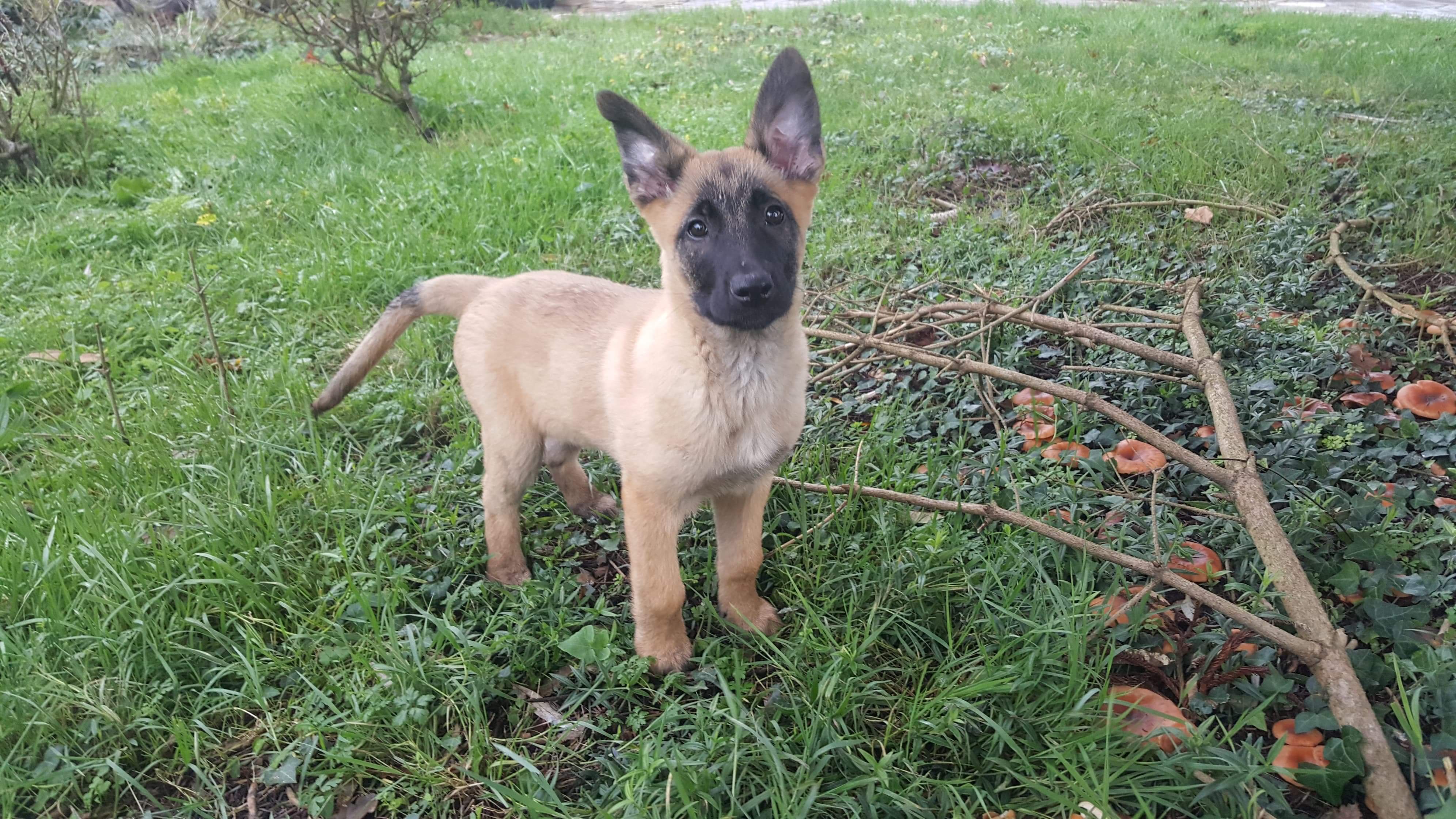 Photo n° 1 de l'avis de Eric.o fait le 19/12/2019 à 10:19