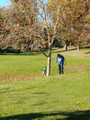 Ford Park - photo 47