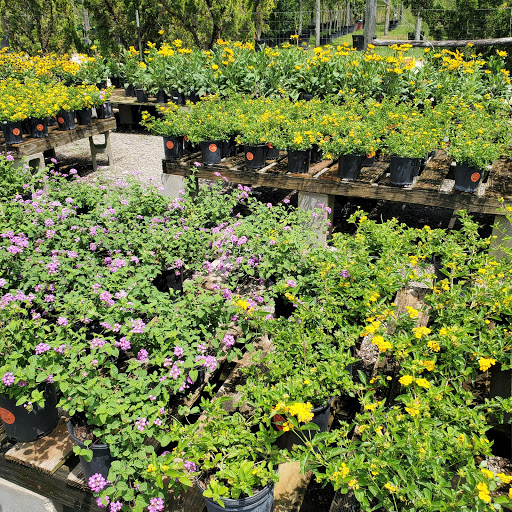 Plant Nursery «HOUSTON PLANTS & GARDEN WORLD», reviews and photos, 16726 North Fwy, Houston, TX 77090, USA