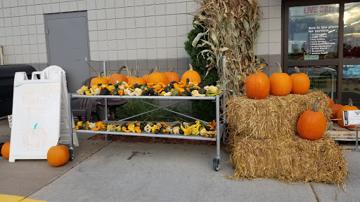 Hardware Store «Hometown Ace Hardware», reviews and photos, 1355 S Frontage Rd, Hastings, MN 55033, USA