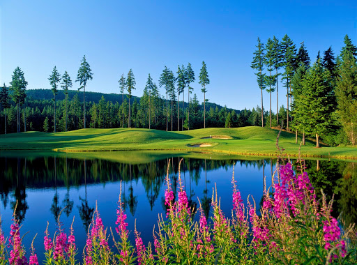 Golf Course «Gold Mountain Golf Club», reviews and photos, 7263 W Belfair Valley Rd, Bremerton, WA 98310, USA