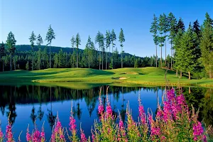 Gold Mountain Golf Club image