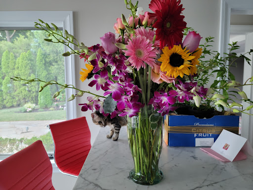 Florist «Tappan Zee Florist», reviews and photos, 176 Main St, Nyack, NY 10960, USA