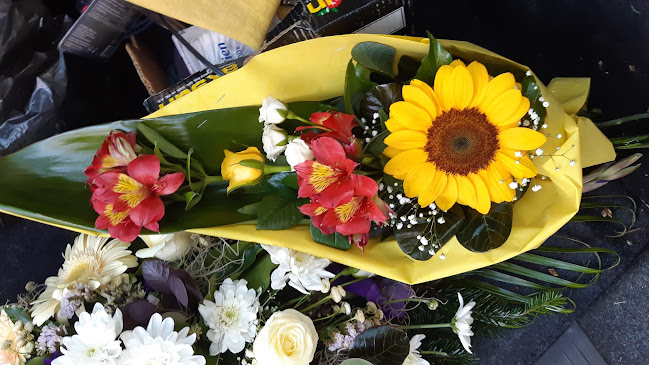 Értékelések erről a helyről: Remzső Anikó "Borostyán" Virág-Ajándék Shop, Szentes - Virágárus