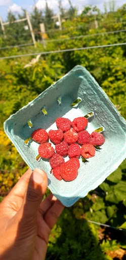 Farm «Alstede Farms», reviews and photos, 1 Alstede Farms Ln, Chester, NJ 07930, USA